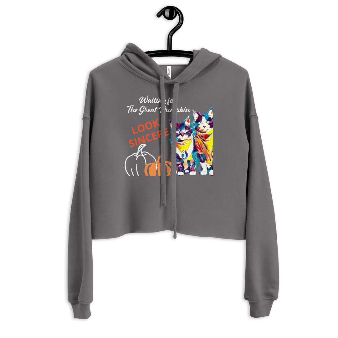 Sincerity and the Great Pumpkin Hoodie