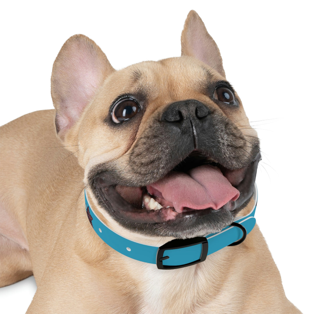 The Real Star Dog Collar