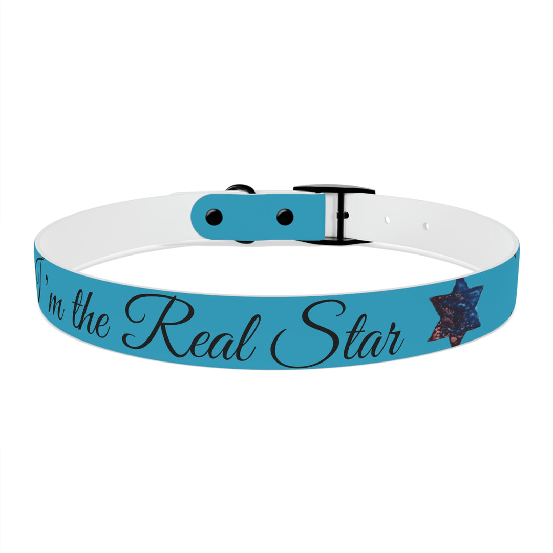 The Real Star Dog Collar
