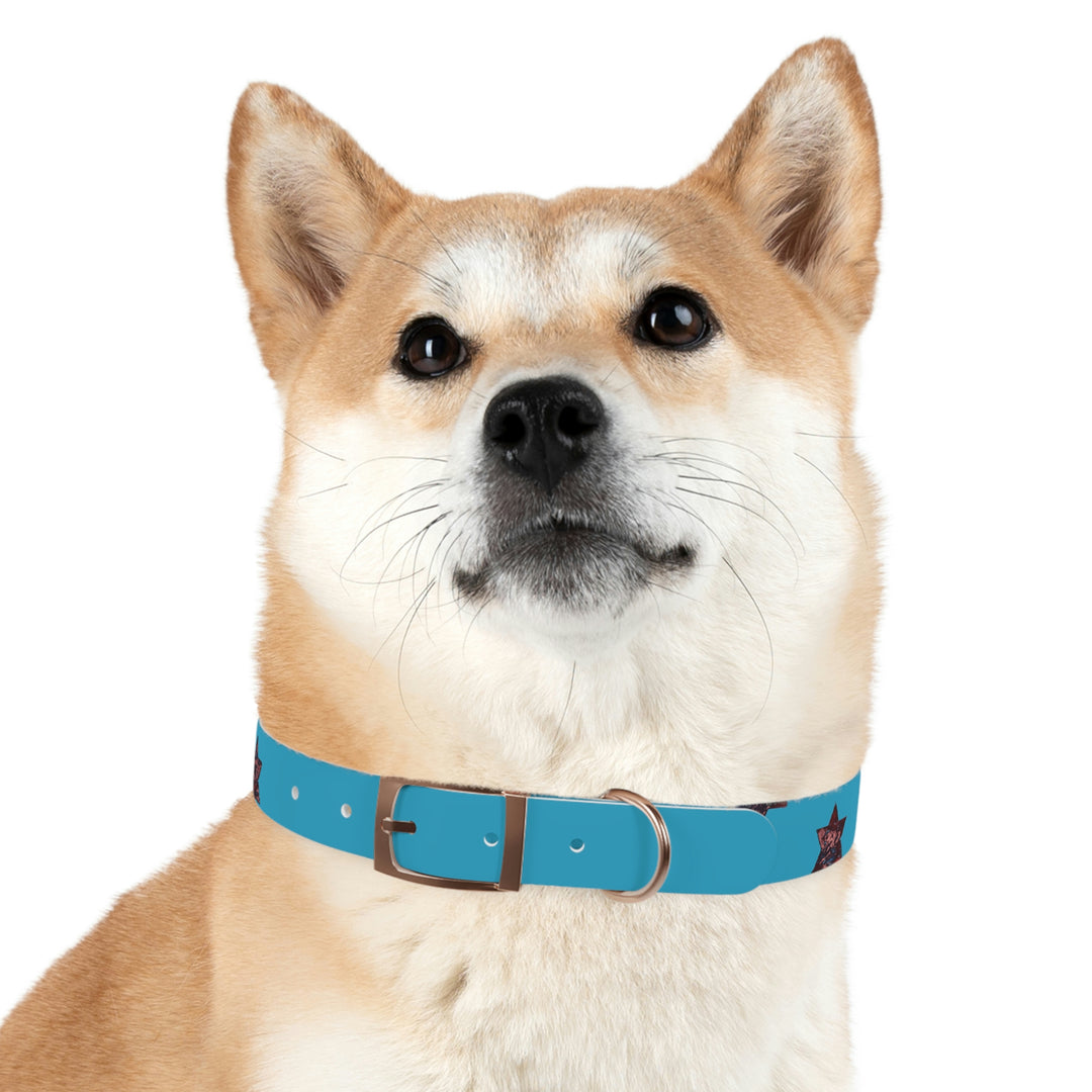 The Real Star Dog Collar