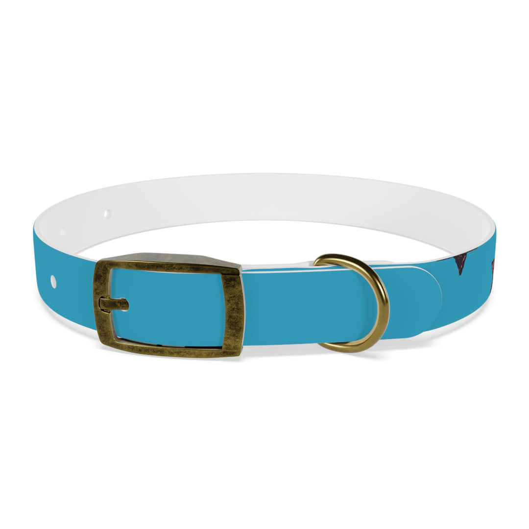 The Real Star Dog Collar