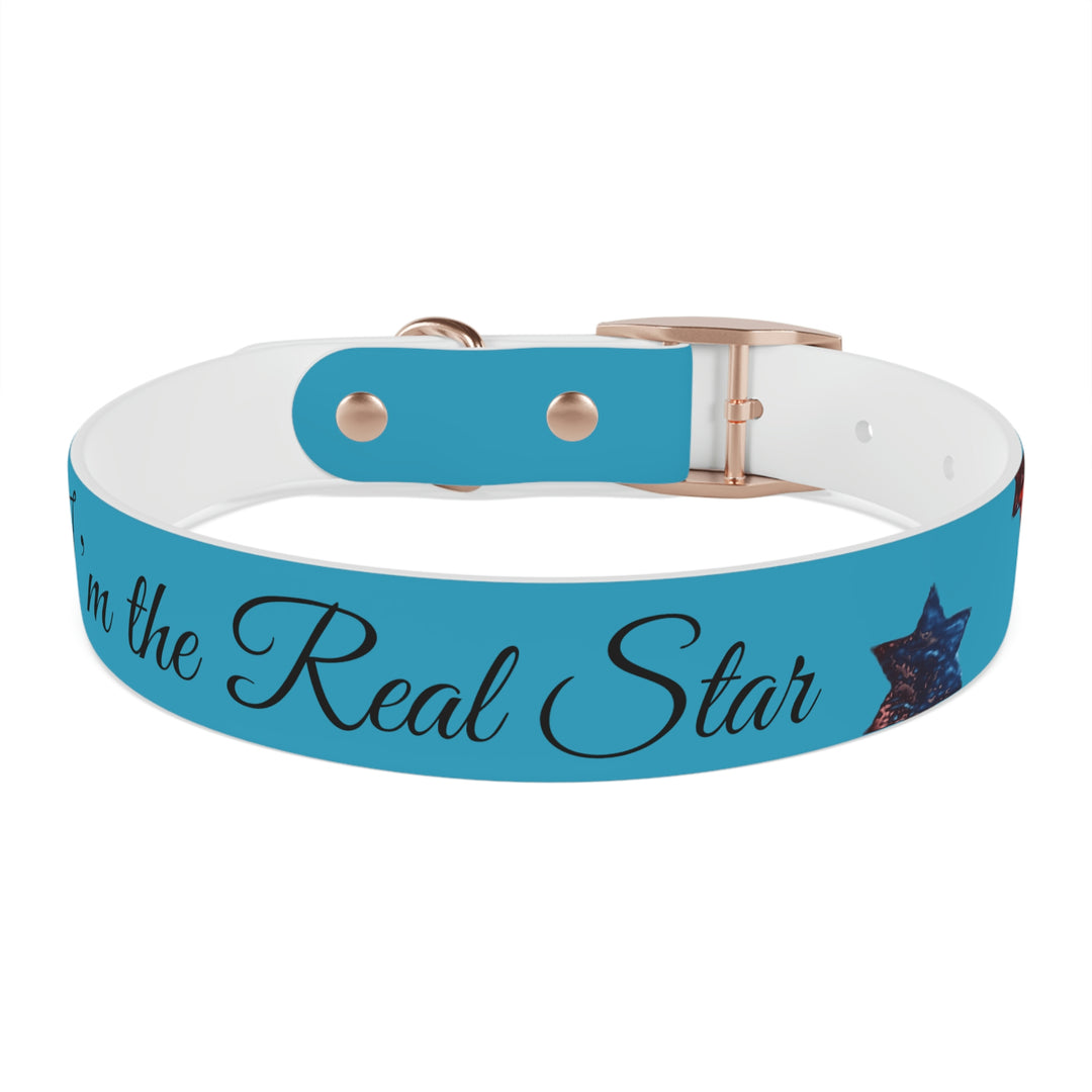 The Real Star Dog Collar