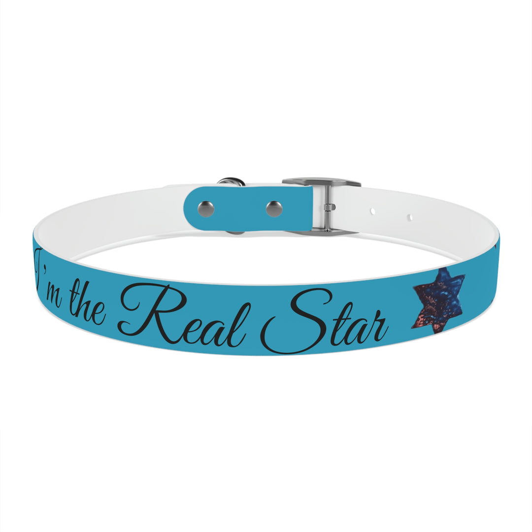 The Real Star Dog Collar