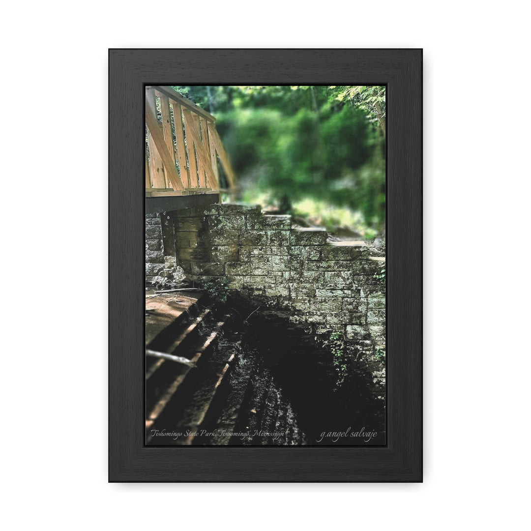 Footbridge Over Cascading Water Framed Posters