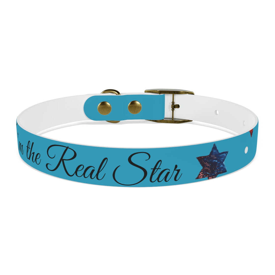 The Real Star Dog Collar