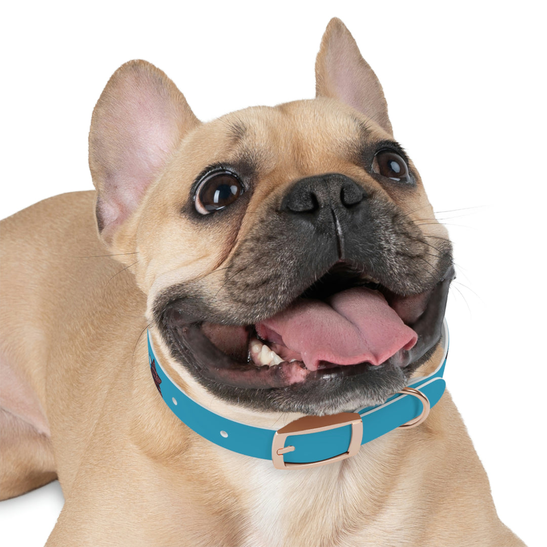The Real Star Dog Collar