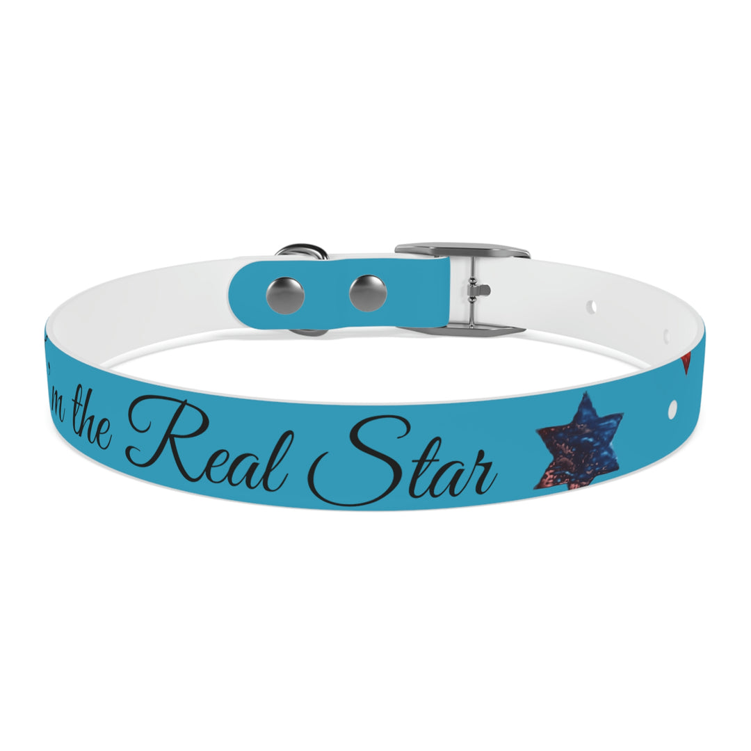 The Real Star Dog Collar