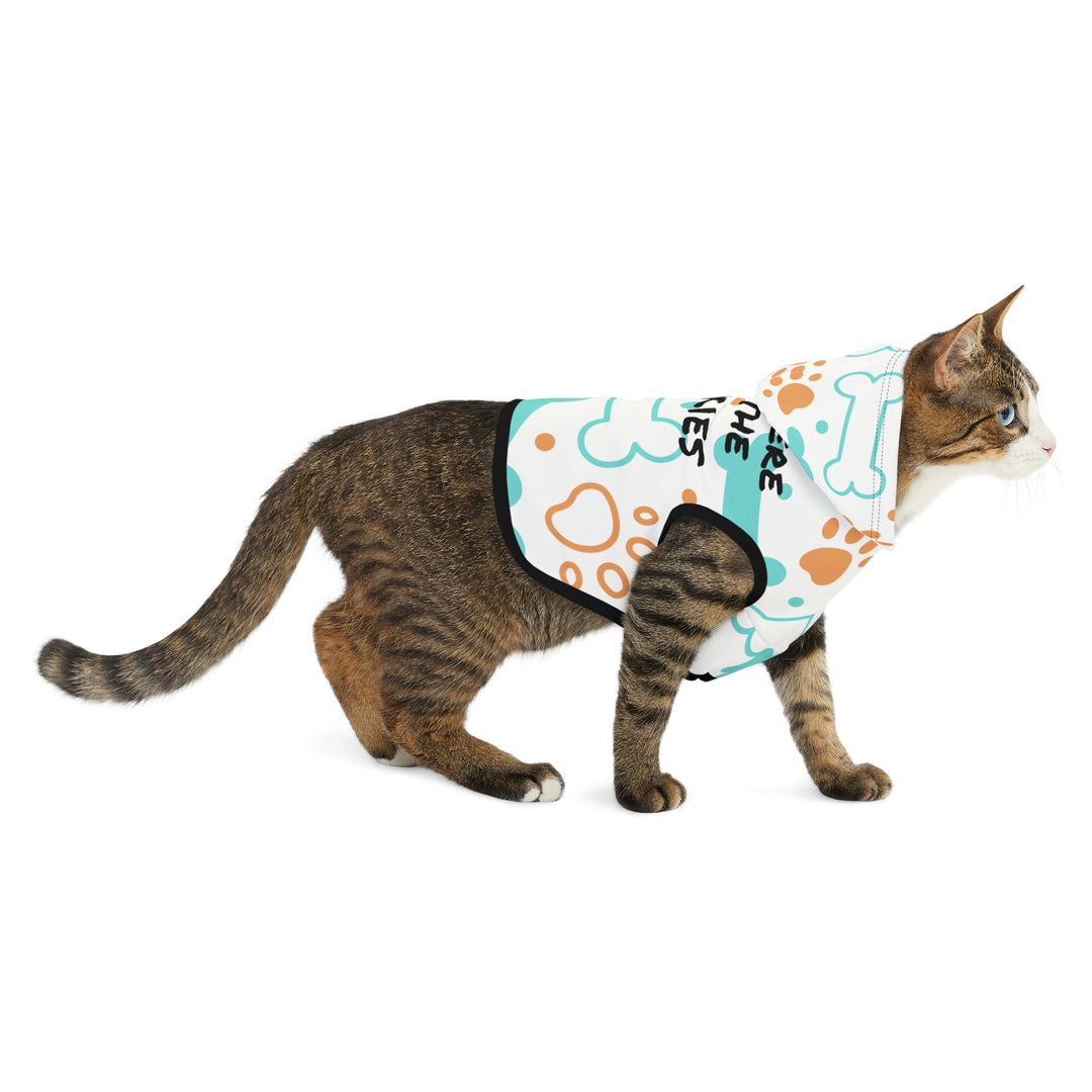Here for Snackies Pet Hoodie