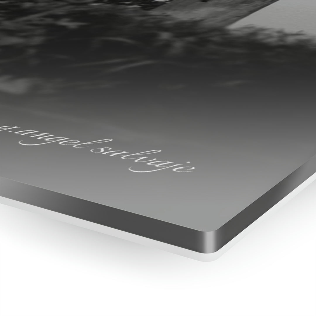 Singing River Sculpture in Black & WhiteAcrylic Prints