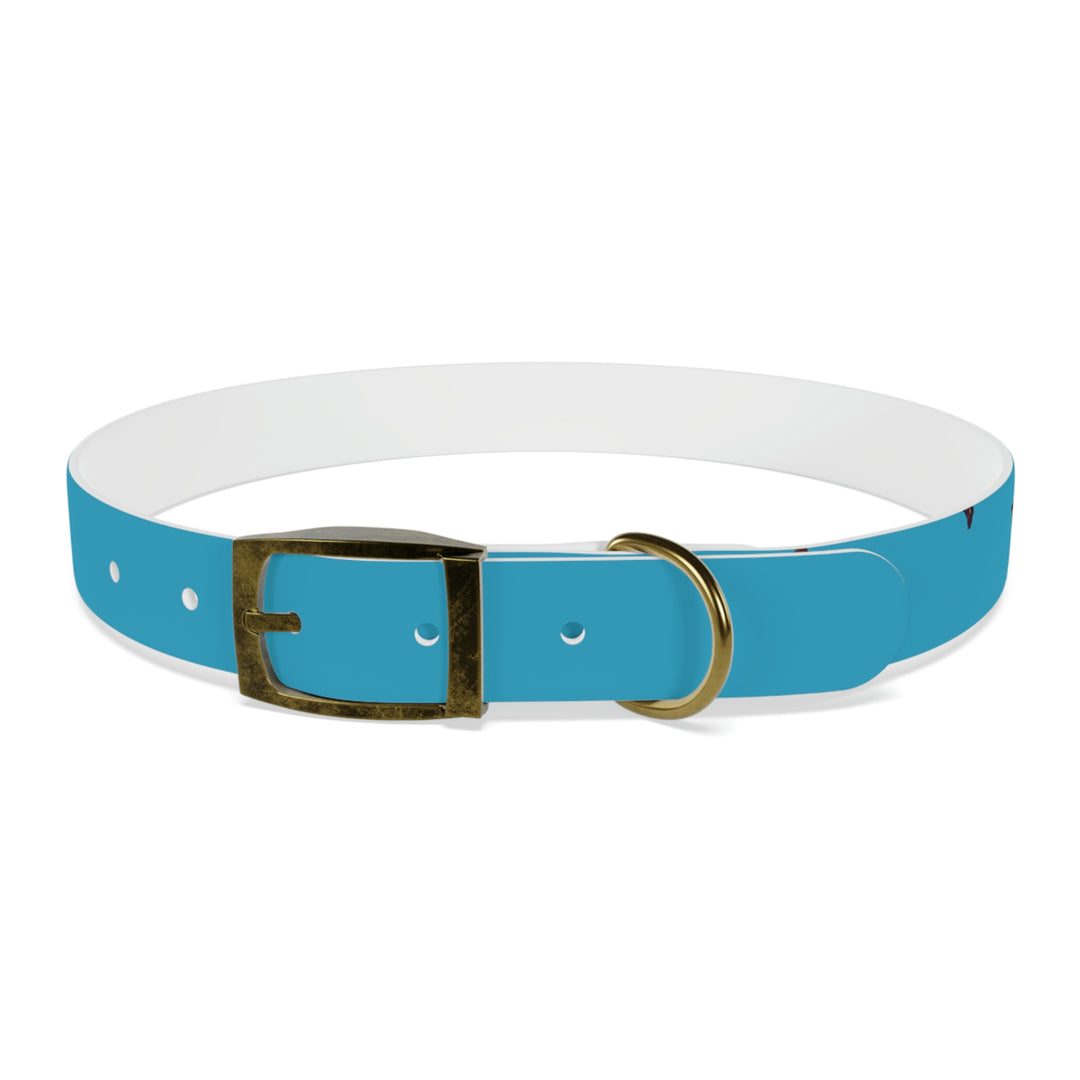 The Real Star Dog Collar