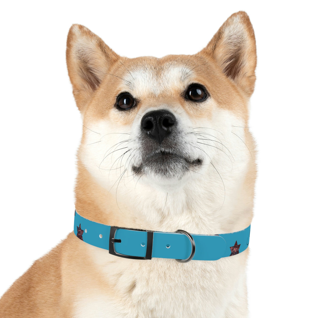 The Real Star Dog Collar