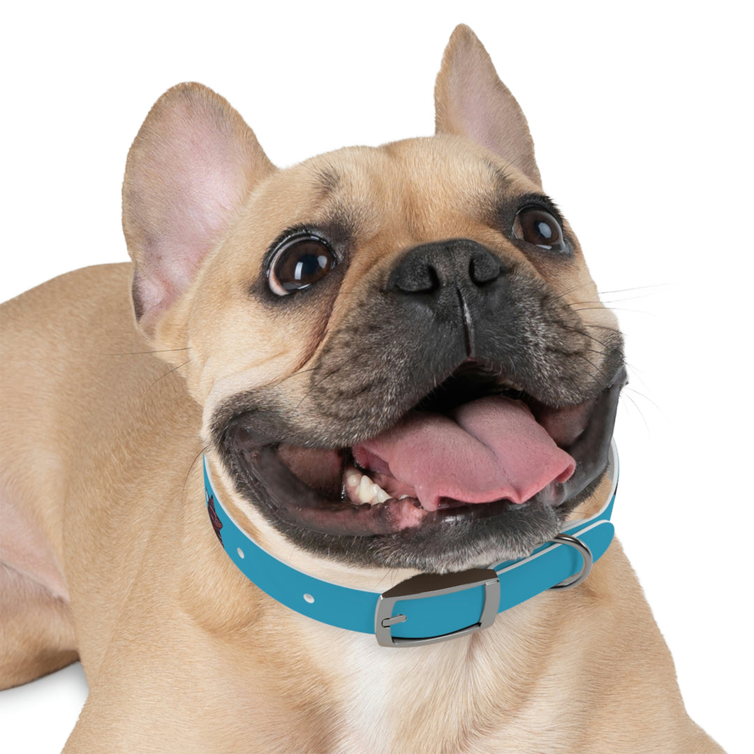 The Real Star Dog Collar