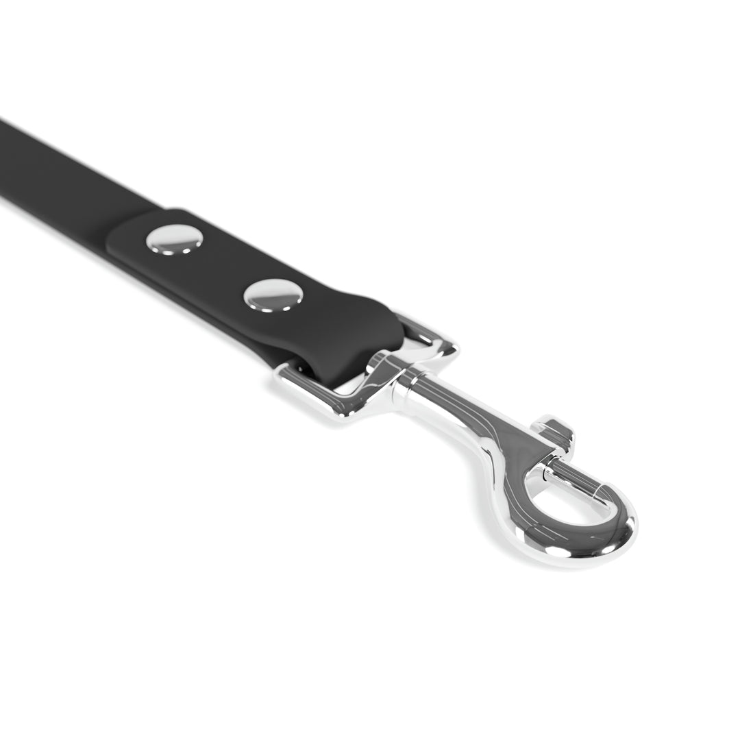 The Real Star Leash
