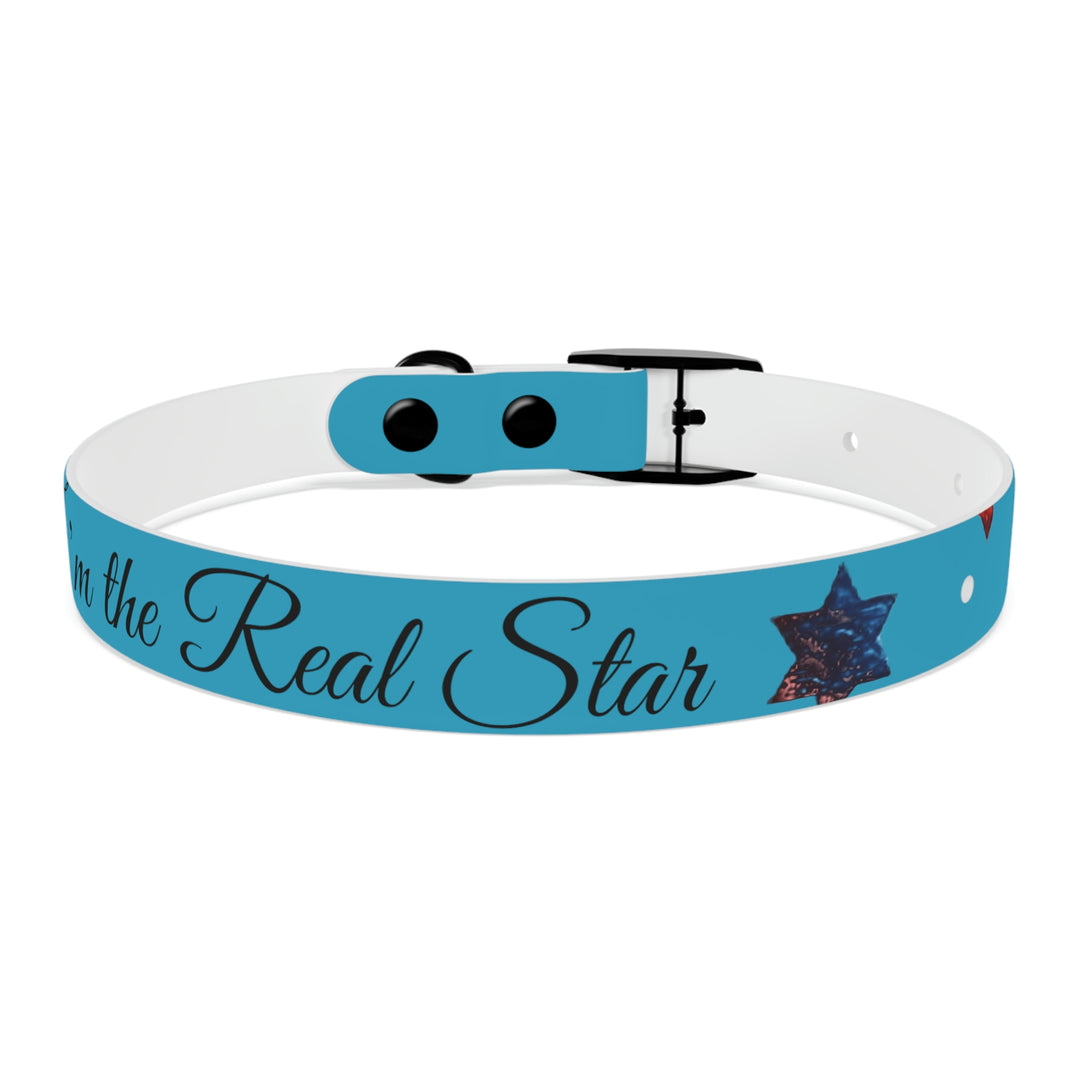 The Real Star Dog Collar