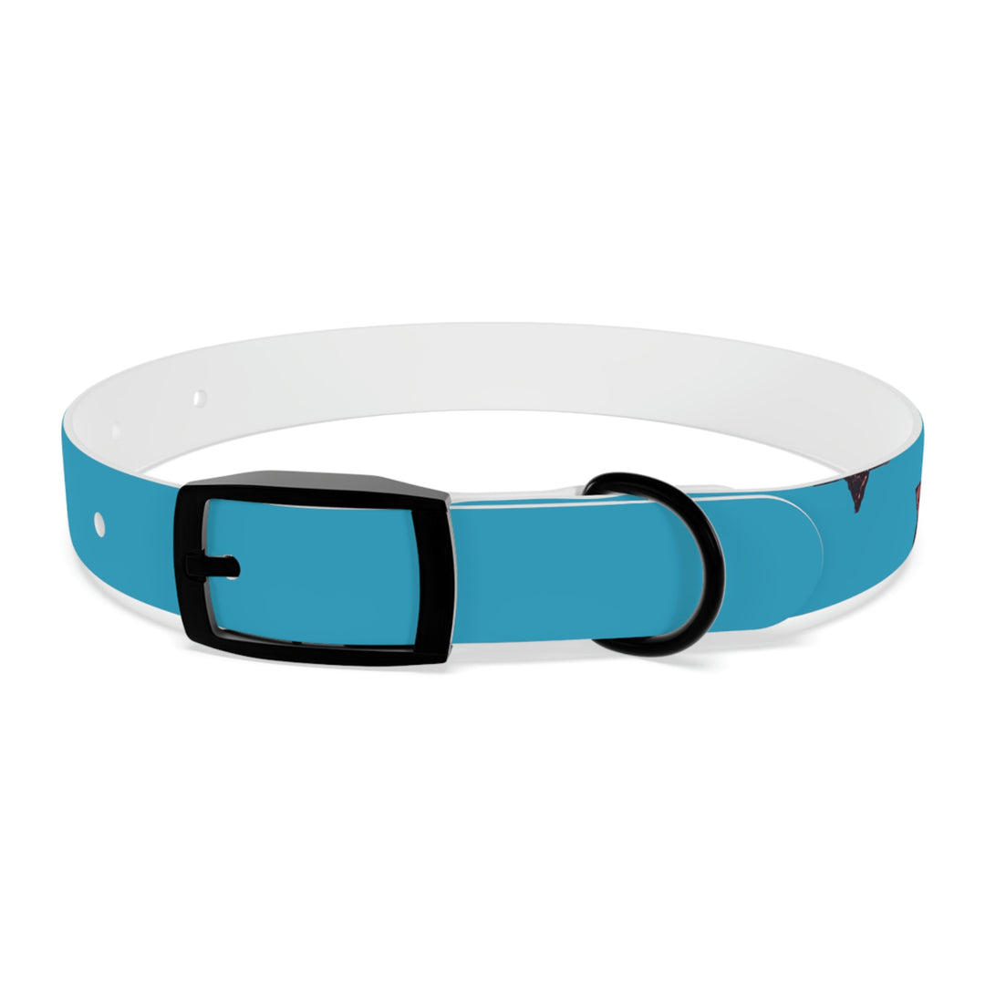 The Real Star Dog Collar
