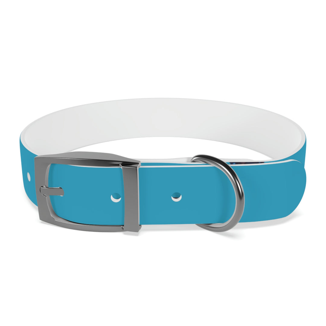 The Real Star Dog Collar