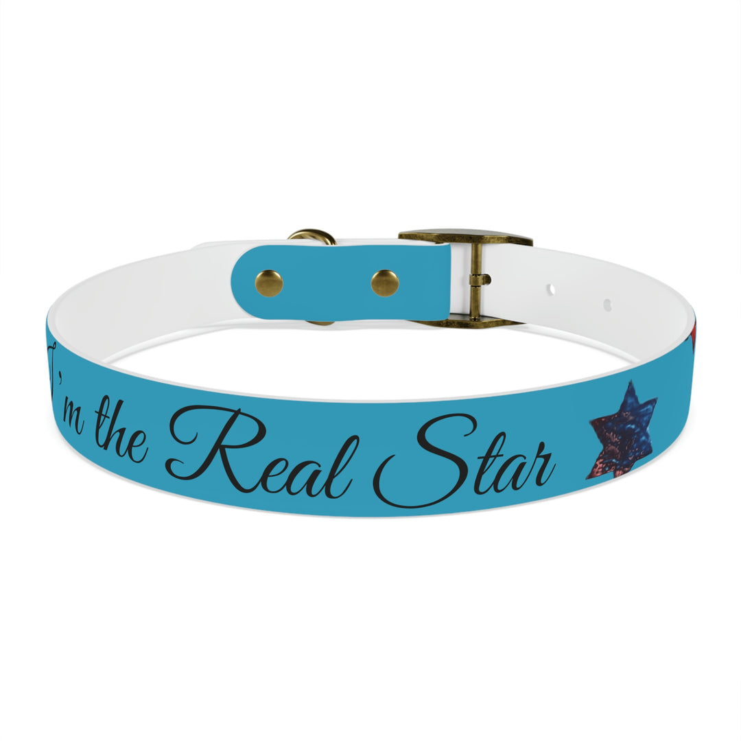 The Real Star Dog Collar