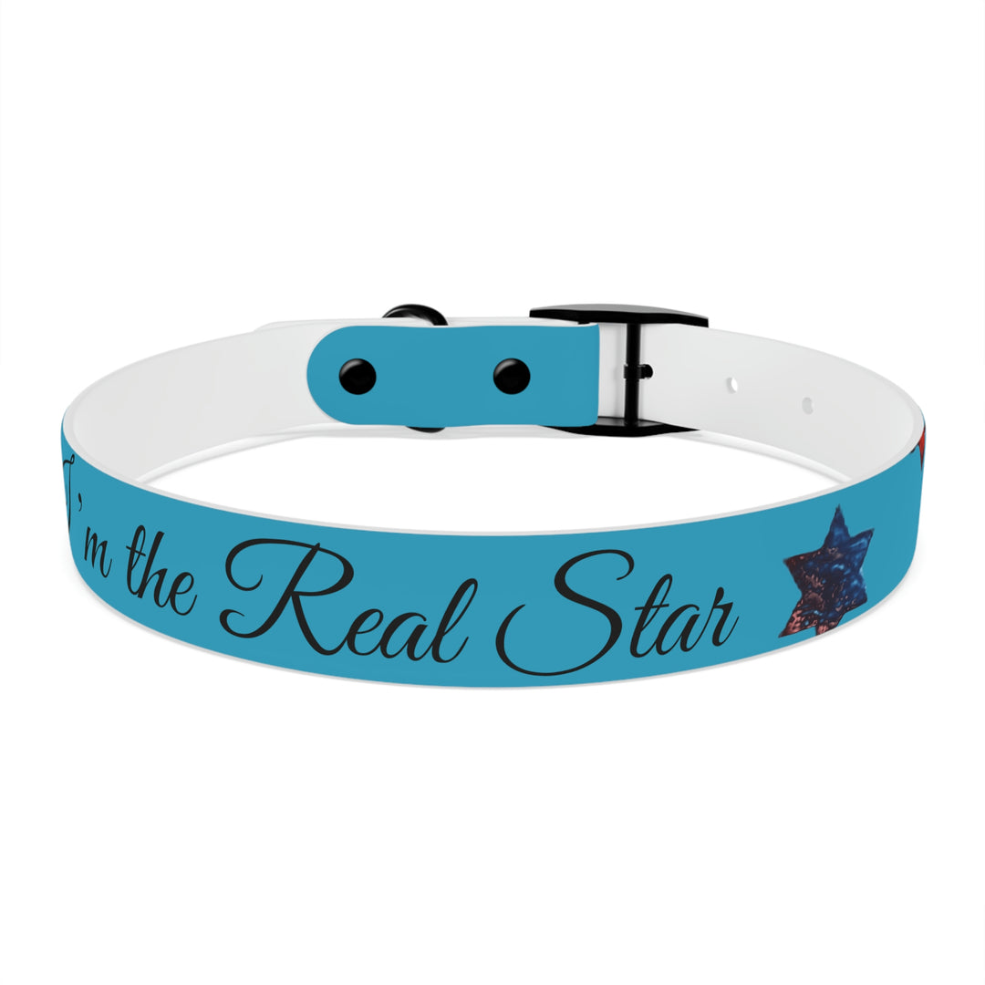 The Real Star Dog Collar