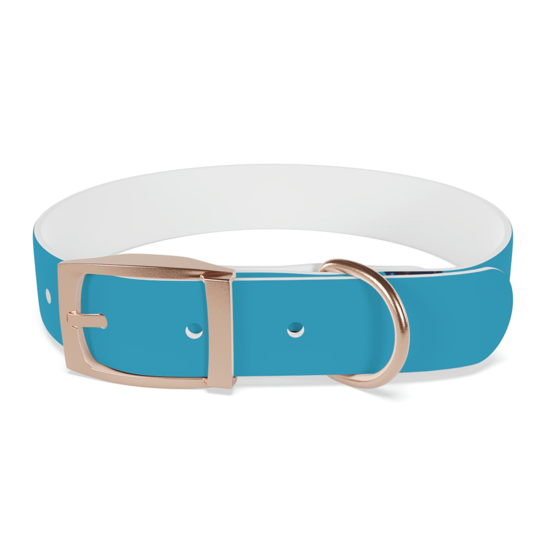 The Real Star Dog Collar