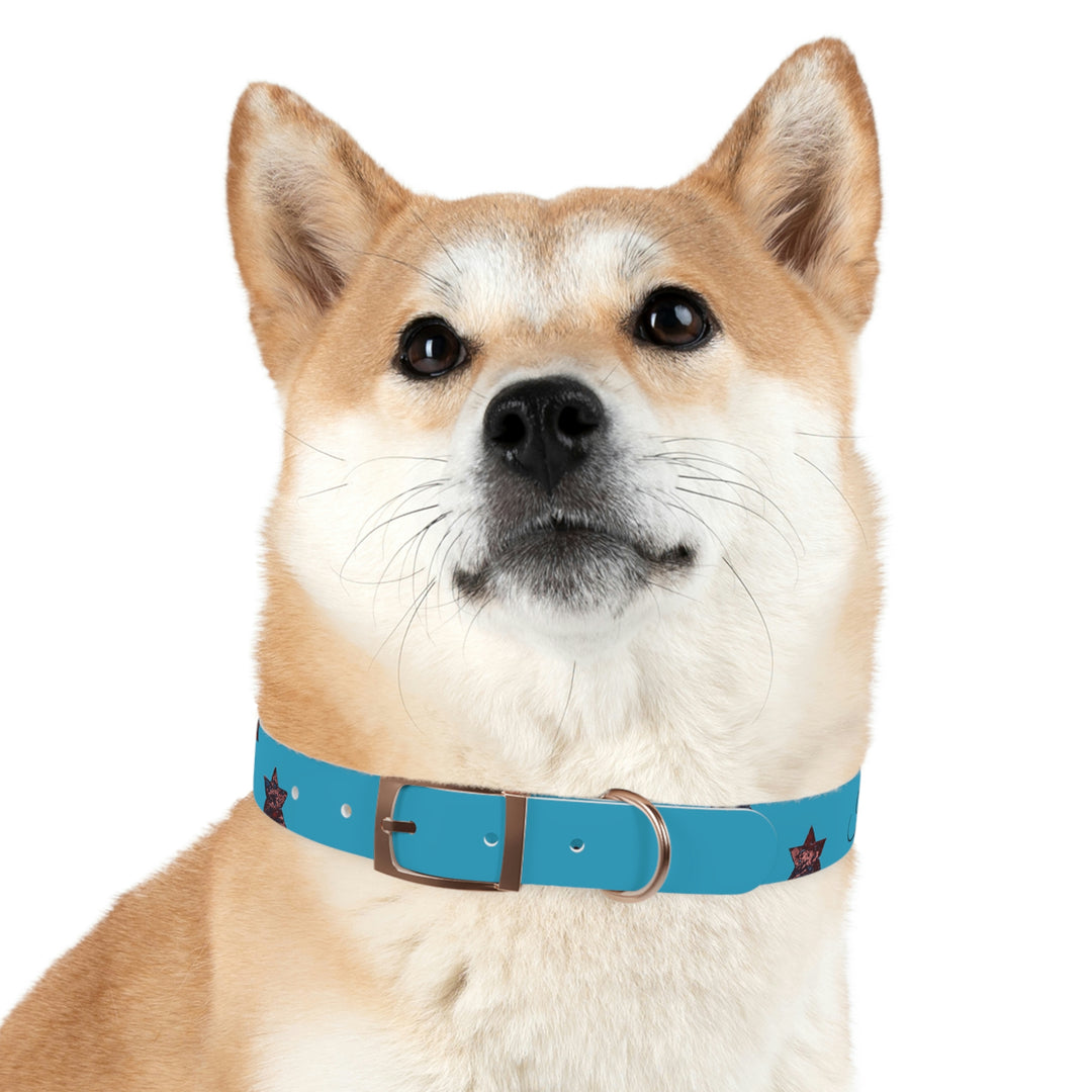 The Real Star Dog Collar
