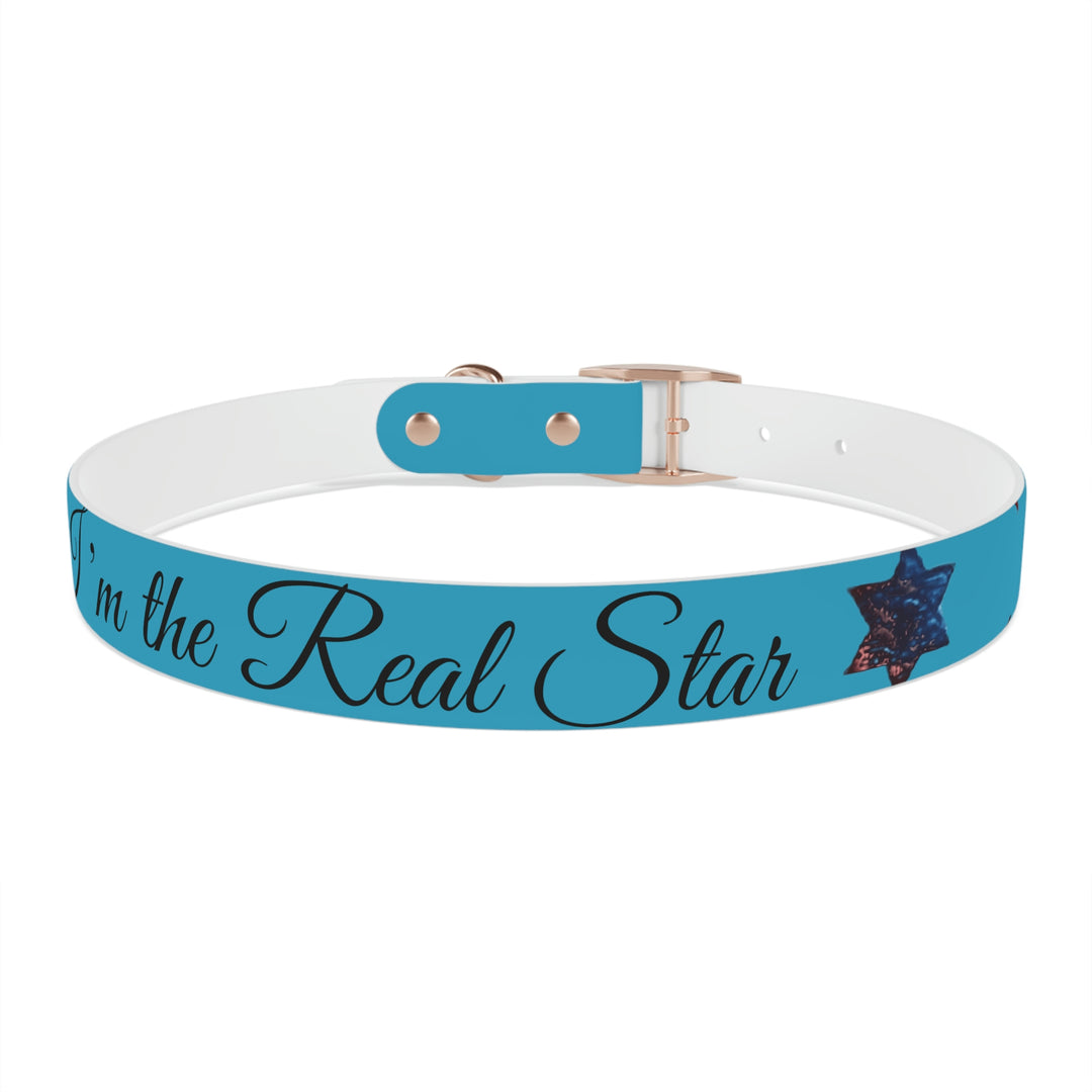 The Real Star Dog Collar
