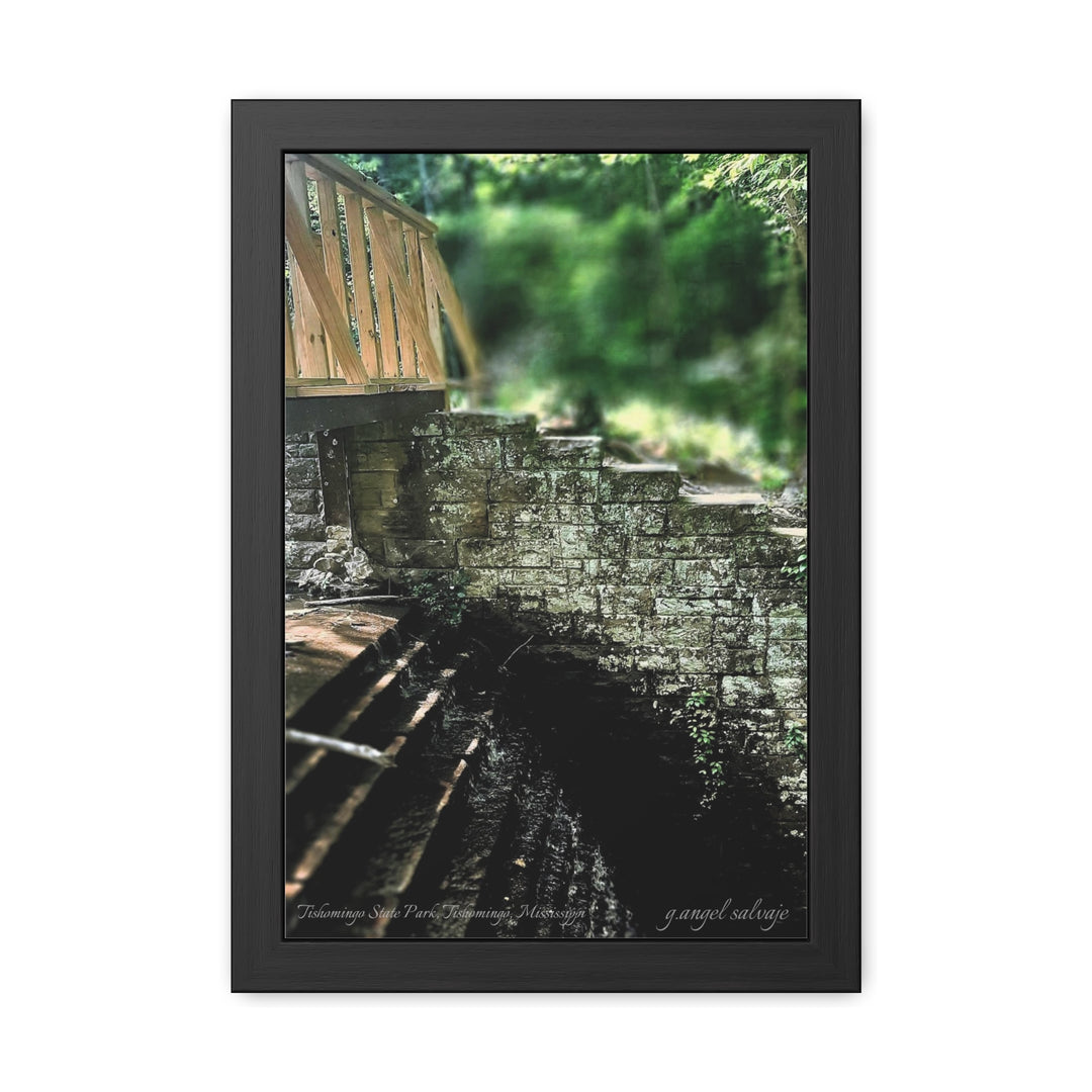Footbridge Over Cascading Water Framed Posters
