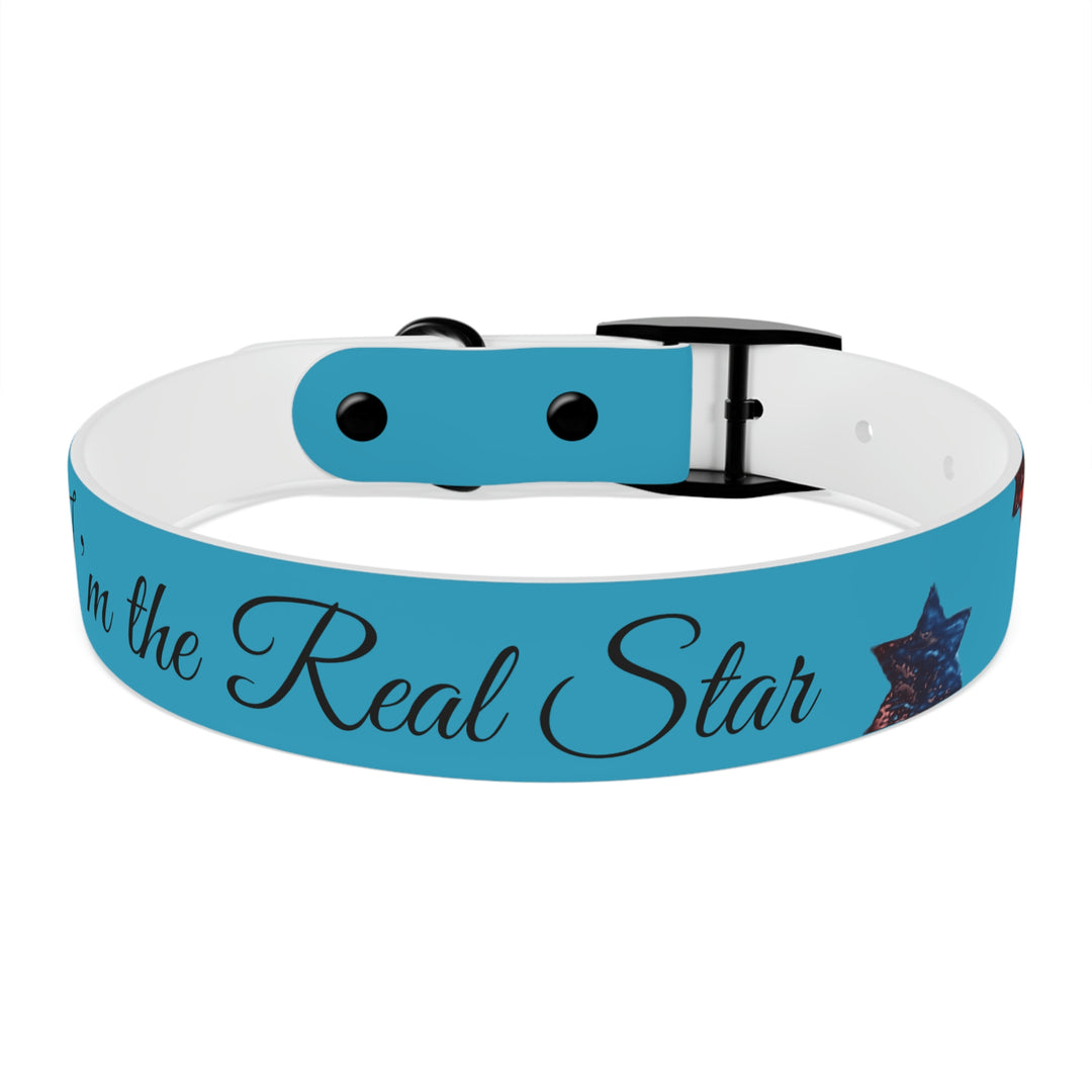 The Real Star Dog Collar