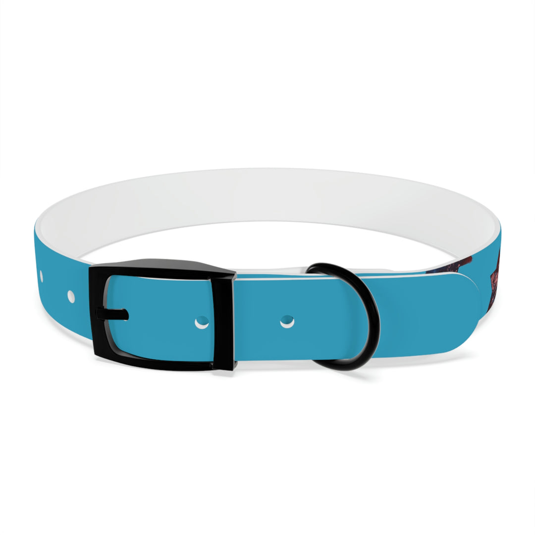 The Real Star Dog Collar