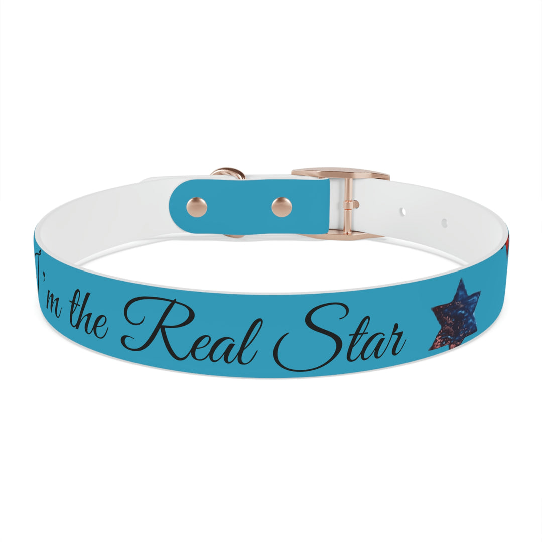 The Real Star Dog Collar