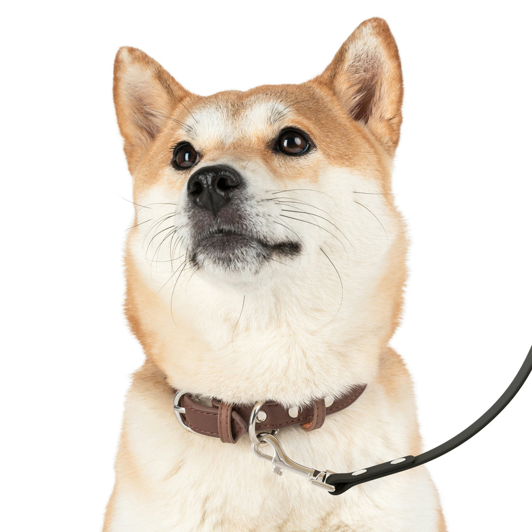 The Real Star Leash