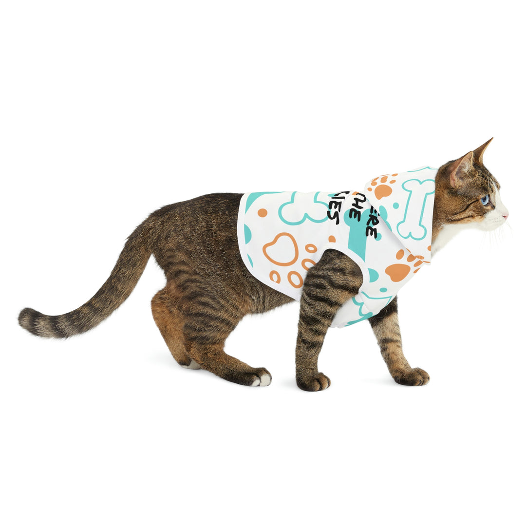 Here for Snackies Pet Hoodie