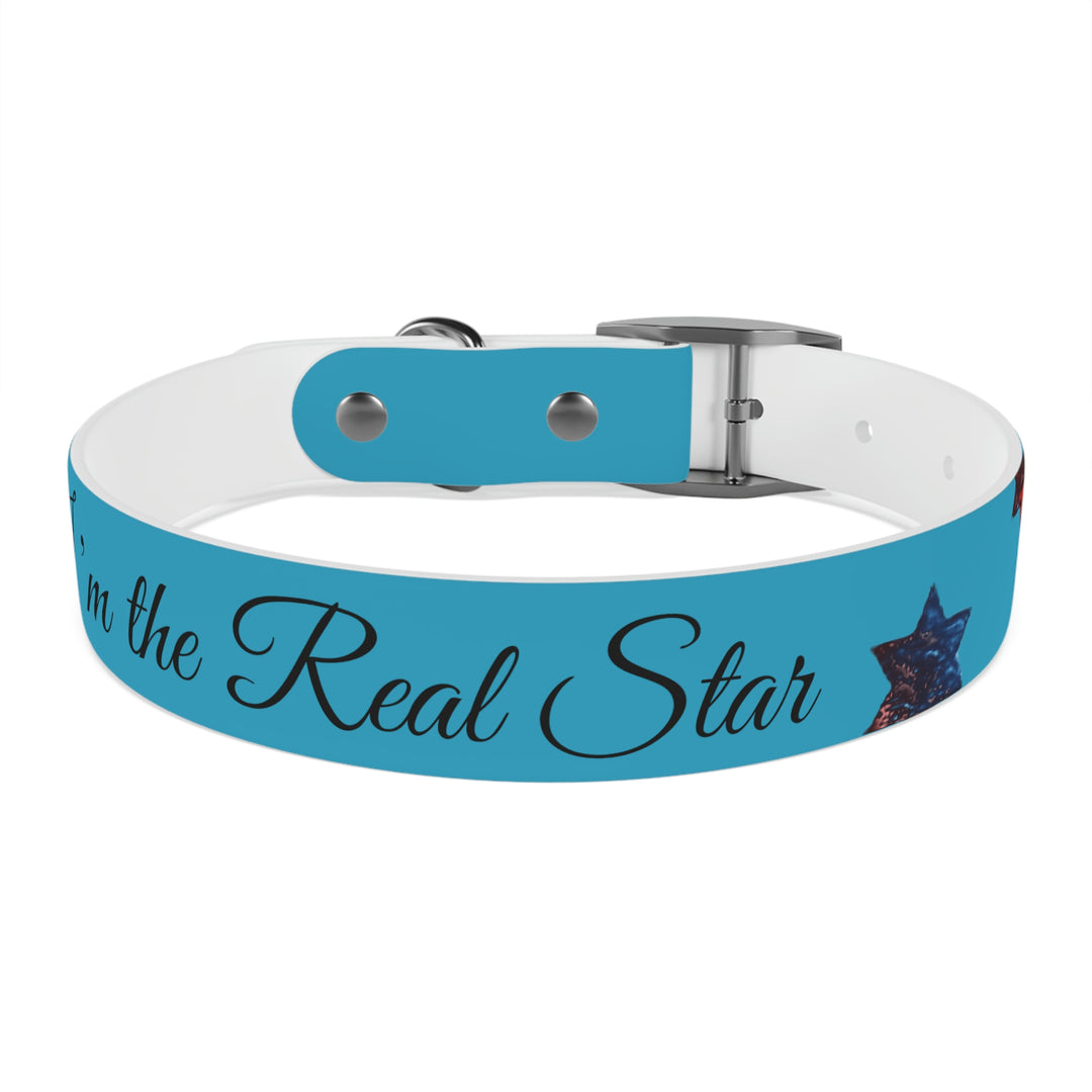The Real Star Dog Collar