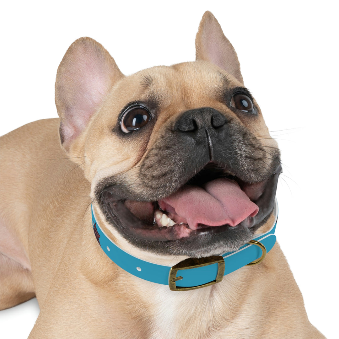 The Real Star Dog Collar