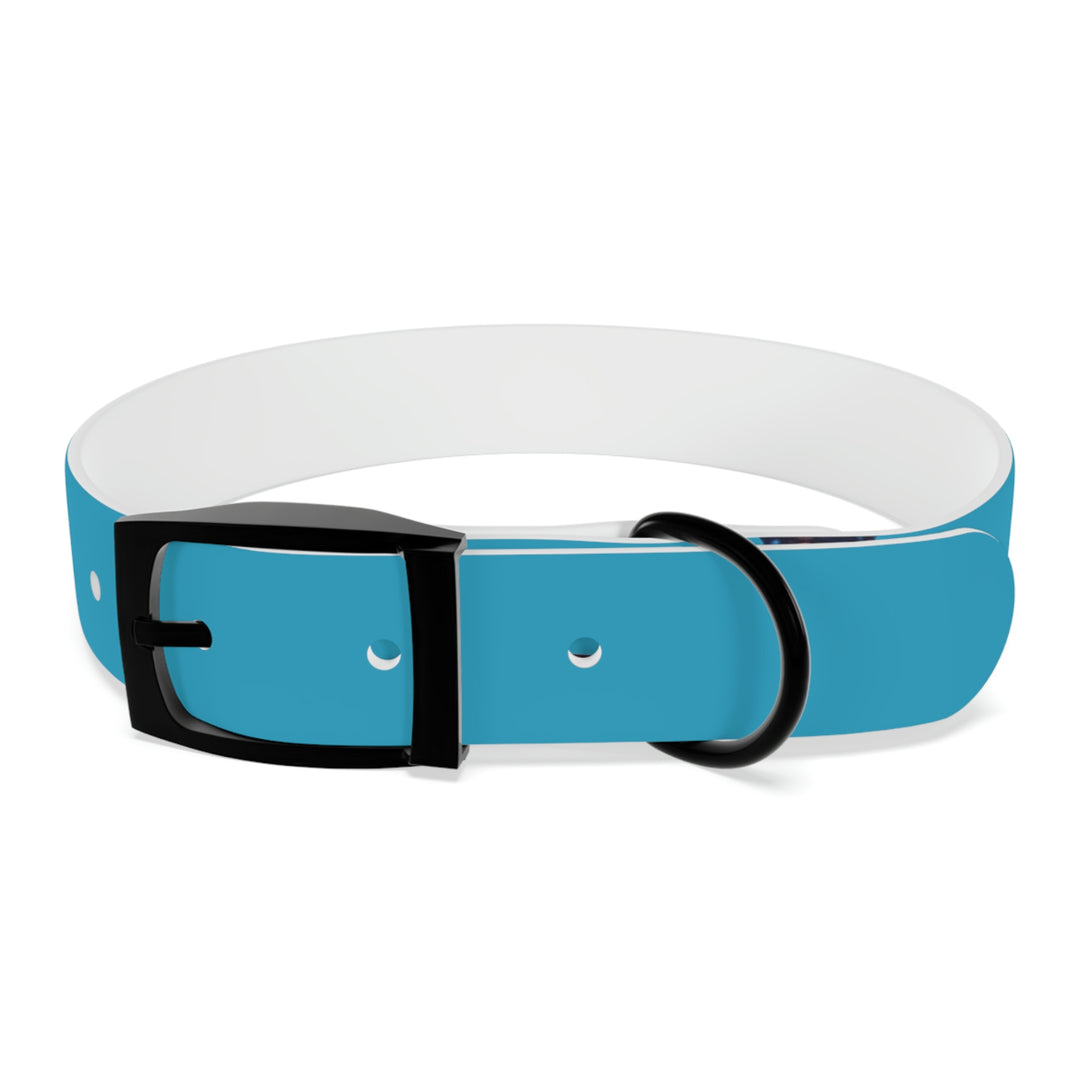 The Real Star Dog Collar