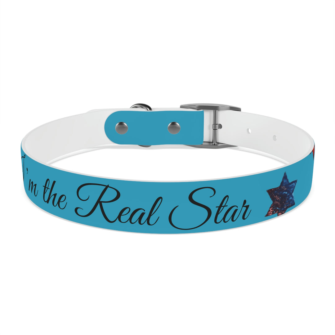 The Real Star Dog Collar