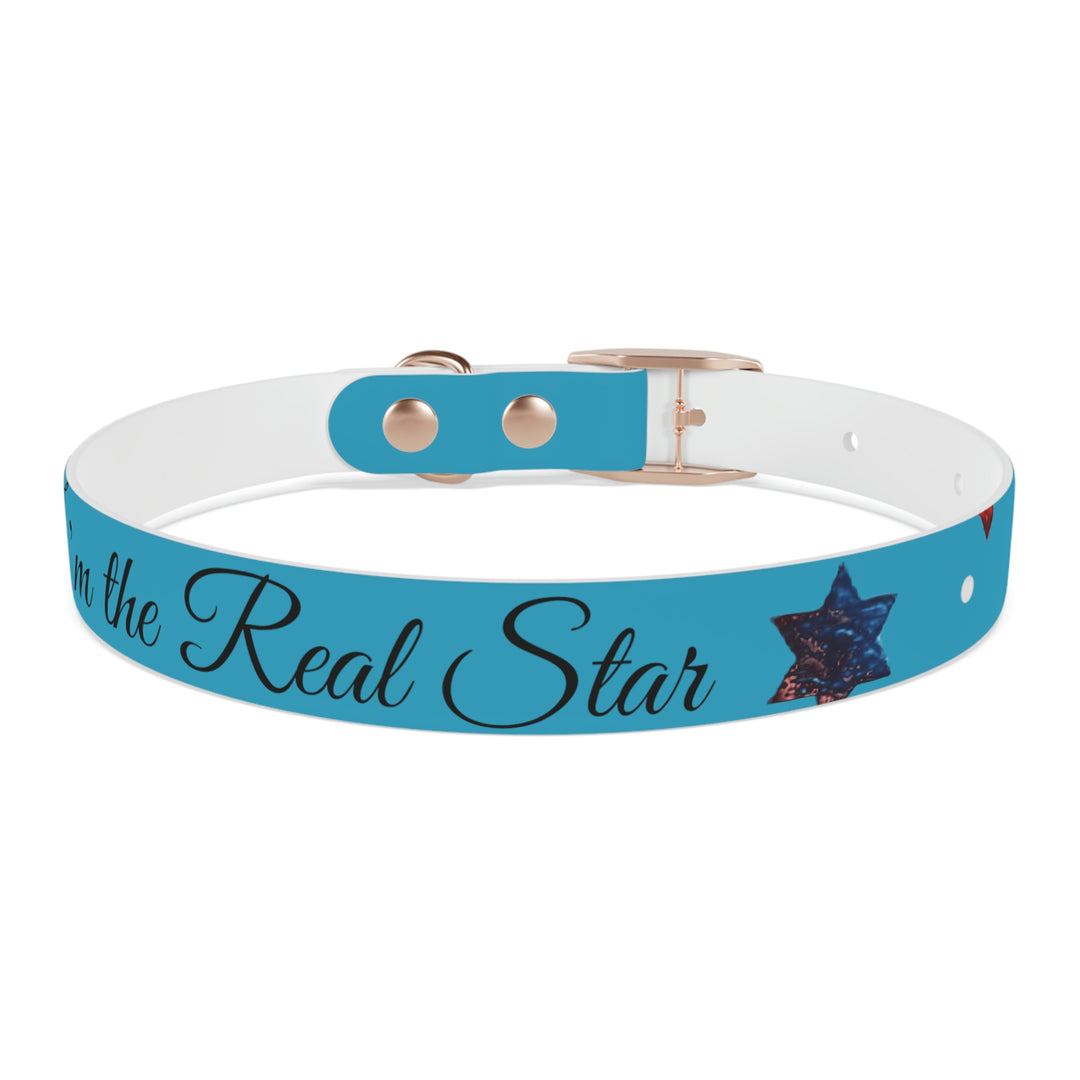 The Real Star Dog Collar