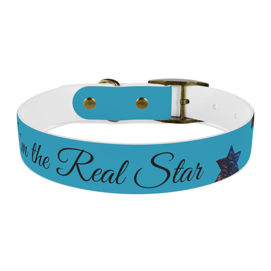 The Real Star Dog Collar